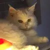 Timothy Barrows - @timothy.barrows4 - TikTok