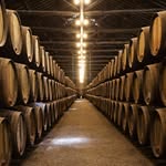 Timothy Basham - @spiritedjourneys25 - Instagram