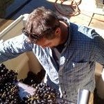 Timothy Baumann - @tbaumannsf - Instagram