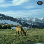 Timothy Baumann - @tim_baumann1337 - Instagram