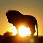 Timothy Bazemore - @timothybazemore - Instagram