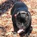 Timothy Belk - Facebook