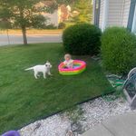 Timothy Enfield - @timothye41 - Instagram