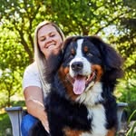 Timothy_bernese - @timothy_bernese - Instagram