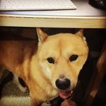 Timoth Bernstein - @timothbernstein - Instagram