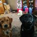 Timothy Bernstein - Facebook