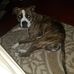 Timothy Berryman - Facebook