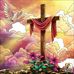 Timothy Bice - Facebook