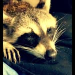 Timothy Biddle - @skippyskippy378 - Instagram