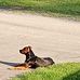Tim Bidwell - Facebook