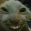 Billy bob - @timothybillybob - TikTok