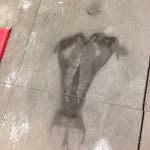 Timothy Billy-t James Haakma - @timothy_billyt - Instagram