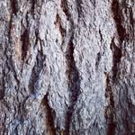 Timothy Blank - @blank_space31 - Instagram