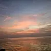 timothyboggs285 - @timothyboggs285 - TikTok