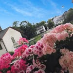Timothy Bonnell - @bonnell.timothy - Instagram