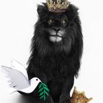 Timothy Boykin - @freaqofnature - Instagram
