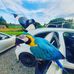 Tim Eddy Braithwaite - Facebook