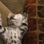 Timothy Brent - @timothy.brent.121 - Instagram