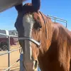 timothybuckner01 - @timothybuckner01 - TikTok