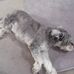 Timothy N Budd - Facebook