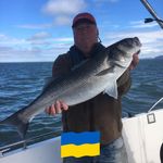 Tim Bugg - @timothy.bugg - Instagram