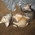 Timothy Burgett - Facebook