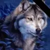 Tim Bushman - @tim.bushman - TikTok