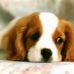 Timothy Bushman - Facebook