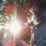 Timothy Bussell - @timothyleebussell - Instagram