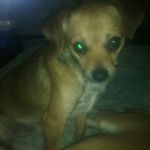 timothyleebuster - @timothyleebuster - Instagram