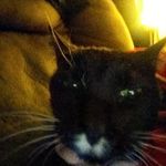 timothycagle - @timothycagle6 - Instagram