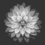Timothy Casady - @timothyc04 - Instagram