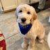 Timothy Cathey - Farmers Insurance - Facebook