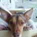 Tim Cavender - Facebook