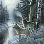 Timothy L Chaney - @timothy.l.chaney - Instagram