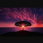 Timothy Chappell - @jetskiatl - Instagram