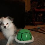 Timothy P. Chavers - @chaverstimothy - Instagram