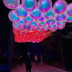 Tim Chen - @timothy_chen_ - Instagram