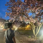 Timothy Chen - @timothyy_chen - Instagram