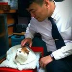 Tie Gip# - @timothy.cheng - Instagram