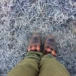 Timothy Cheng - @timothycheng2008 - Instagram