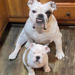 Timothy Christensen - @timothychristensen69 - Instagram