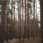 Timothy Christensen - @timothychristensenvin21420 - Instagram