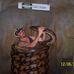 Tim Clapham - Facebook