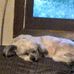 Timothy Clemens - Facebook