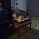 Timothy Cockerham - @timothycockerham - Instagram
