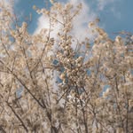 Timothy Coe - @coe_timothy - Instagram