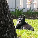 Timothy R. Coggins - @timothyr.coggins - Instagram