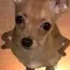 Timothy Colley - @timothycolley562 - TikTok
