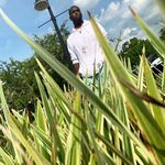 Timothy Collier - @dat.nigga_tim - Instagram